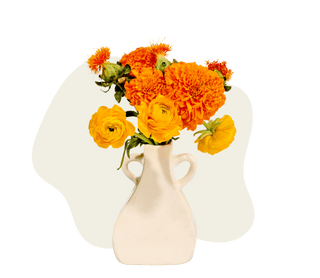 Ceramic Clay Upgrade